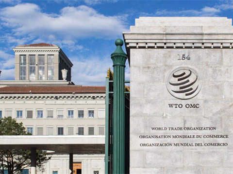 新闻动态-专家解读|中国在WTO谈判中不寻求新的特殊和差别待遇，意味着什么（2025/09/24）